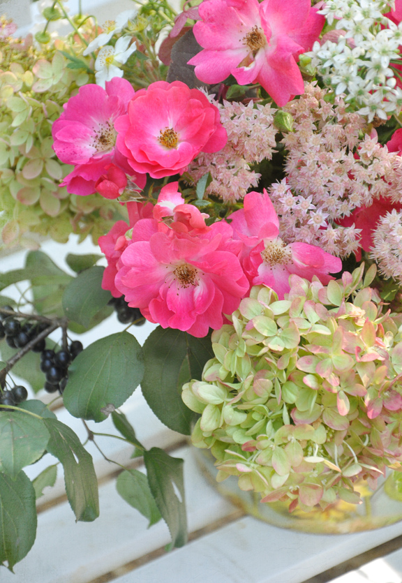 Hydrangea Pics Hydrangea Flower Meaning Is Heartfelt Emotion Or