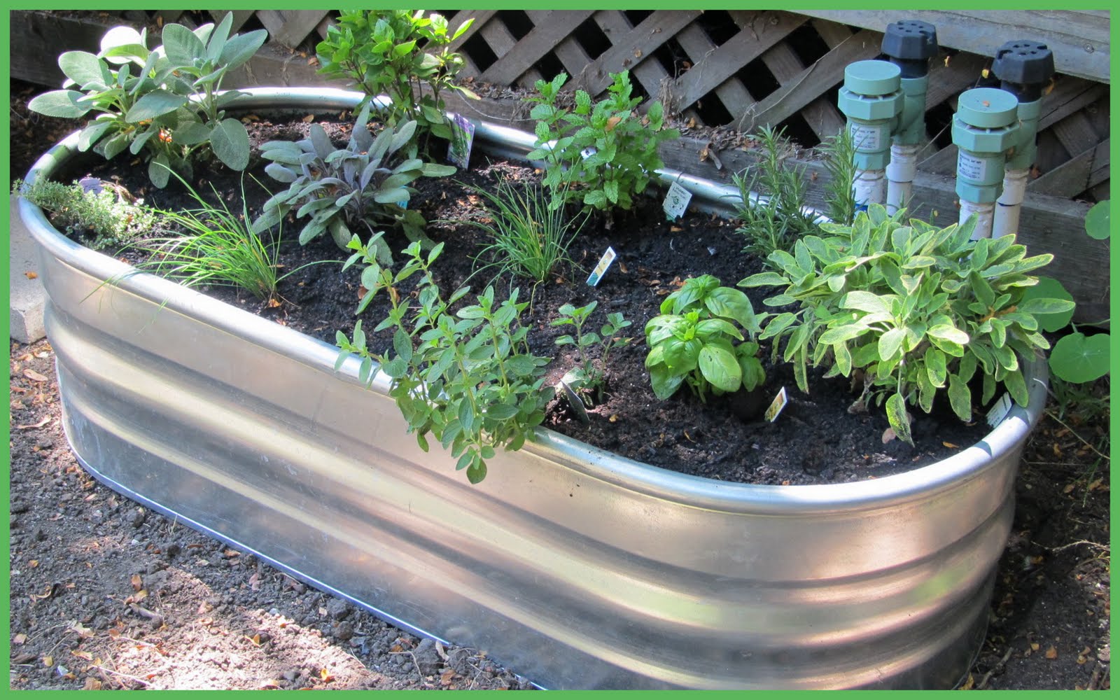 visual jill interior design one love metal stock tanks in the garden visual jill interior design one love metal stock tanks in the garden