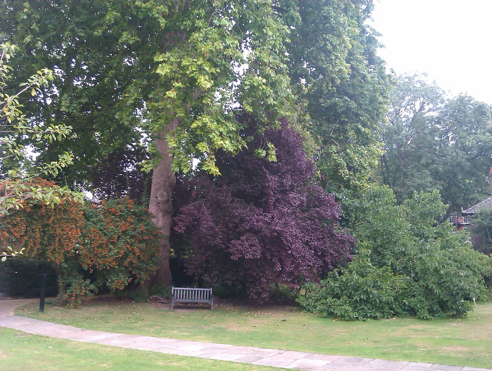Keats Ode To A Nightingale