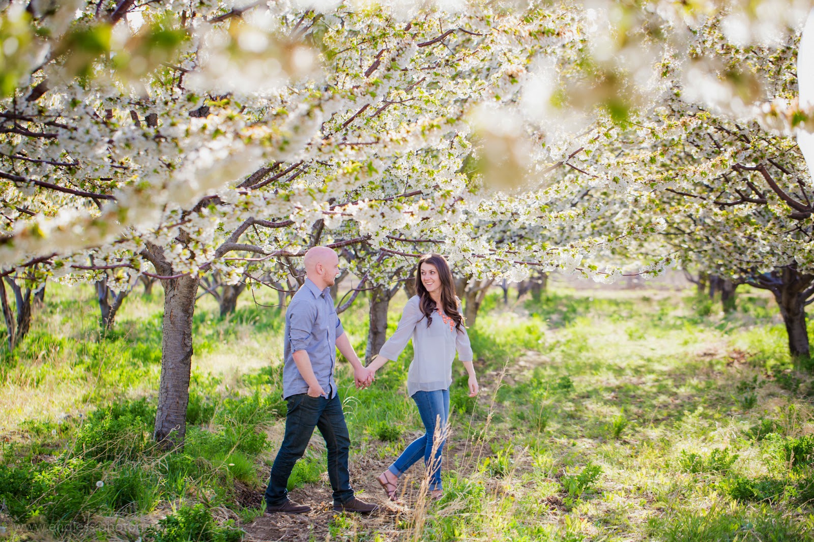 Logan Photography, Utah, Photographer, Utah Wedding Photographer, Photographers, Spring, Orchard, Couple, Wedding