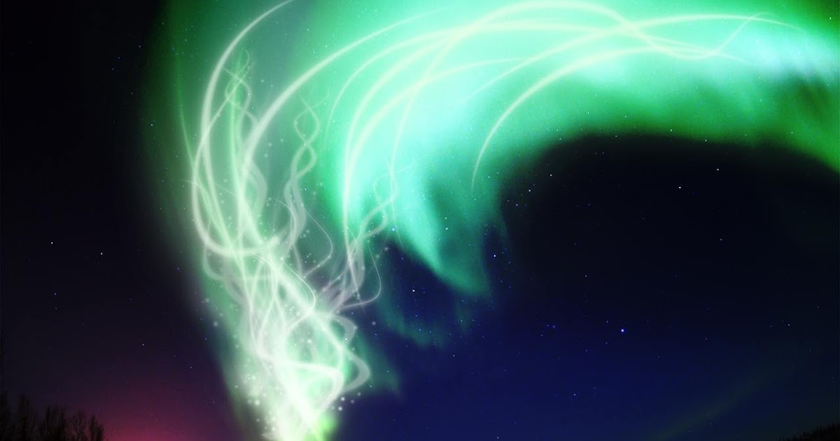 Anything About This Life Aurora