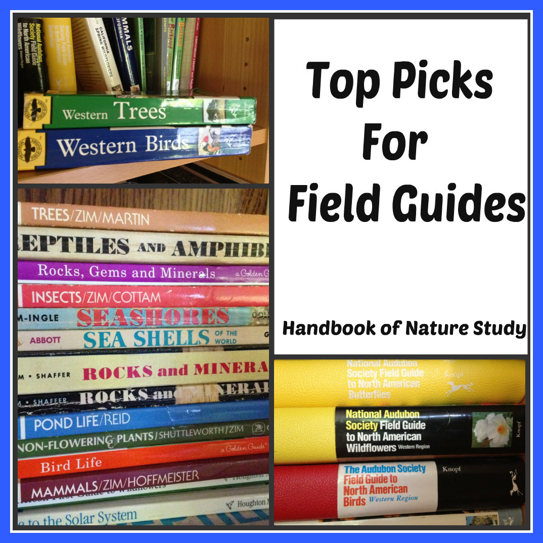 Handbook of Nature Study Top Picks For Field Guides