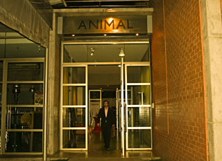 Galeria Animal