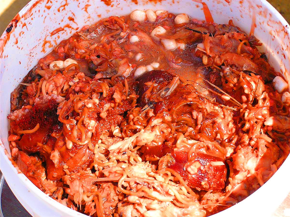 Bloviating Zeppelin Question 2 Experiment