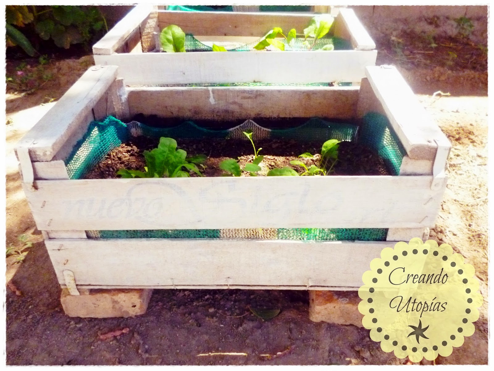 Creaciones MDO La huerta en cajones