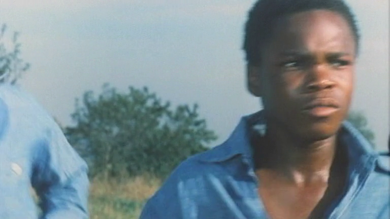 Watch The Education Of Sonny Carson Online Microscope Watch The Education Of Sonny Carson Online Microscope