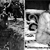 15 Chilling Historical Pictures - GOOSEBUMPS!
