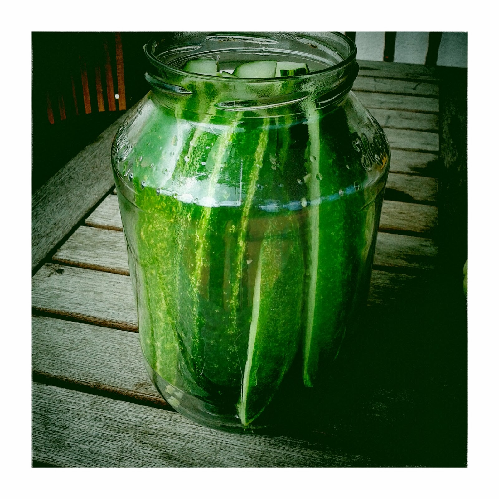 Azores Lifestyle Recipe for Pickled Gherkins/Cucumbers