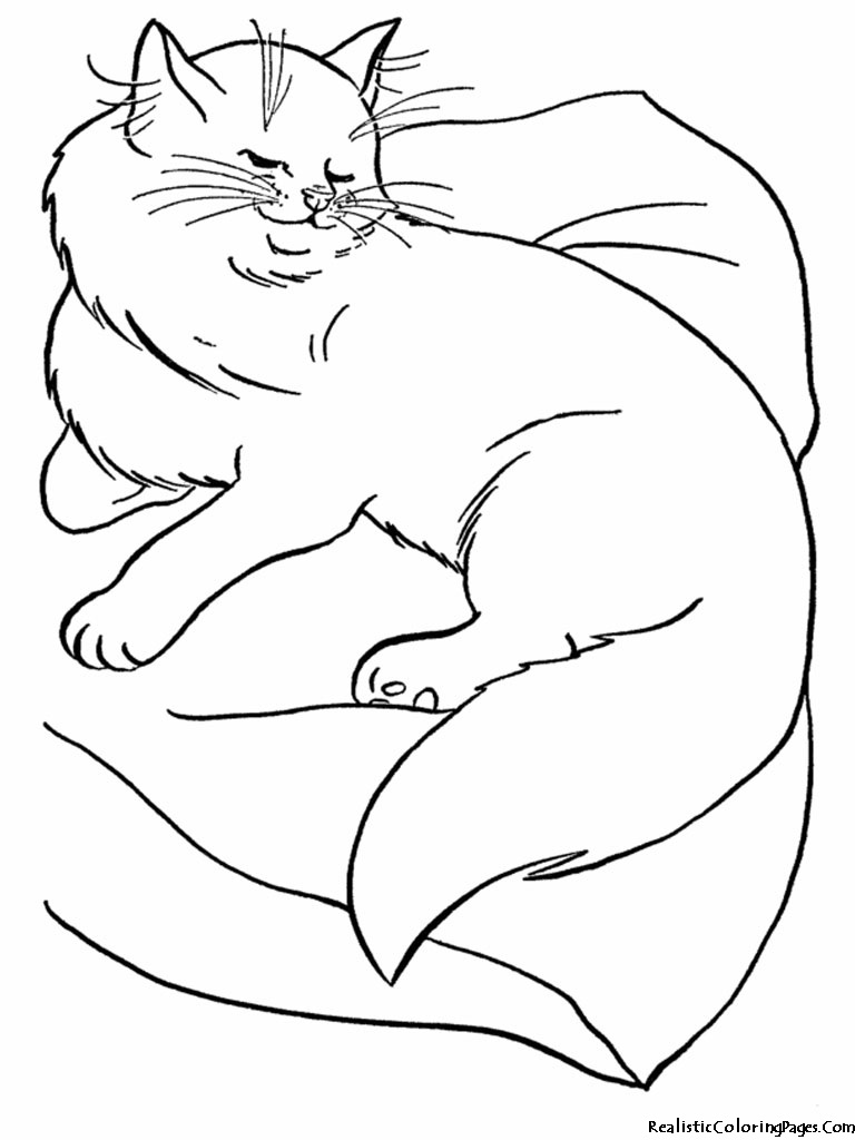 Realistic Coloring Pages Of Cats | Realistic Coloring Pages