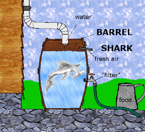 Sharks in a Barrel