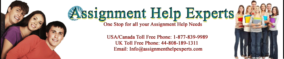 Assignment help experts