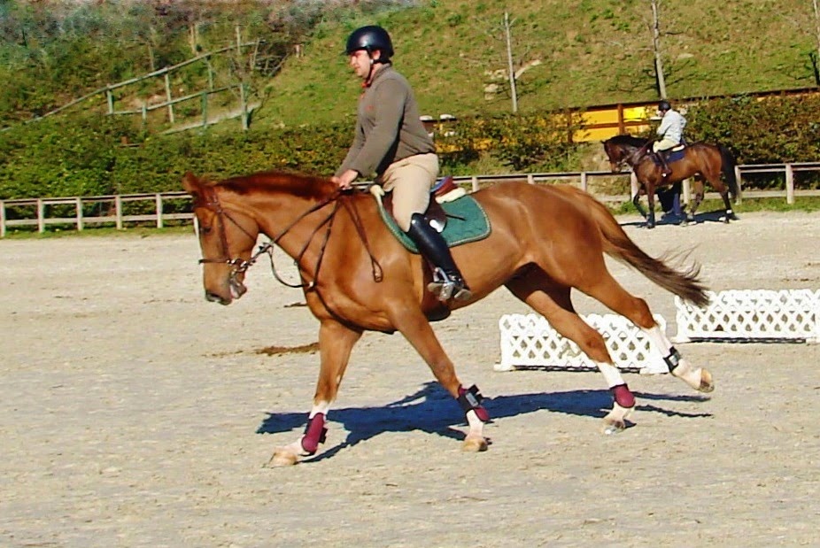 BREATHTAKING The Riding School