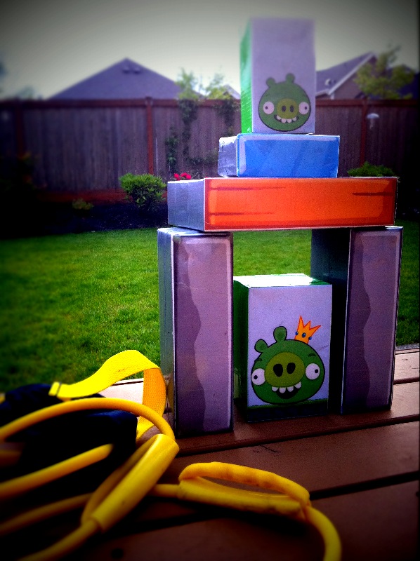 The Contemplative Creative Angry Birds Slingshot Game