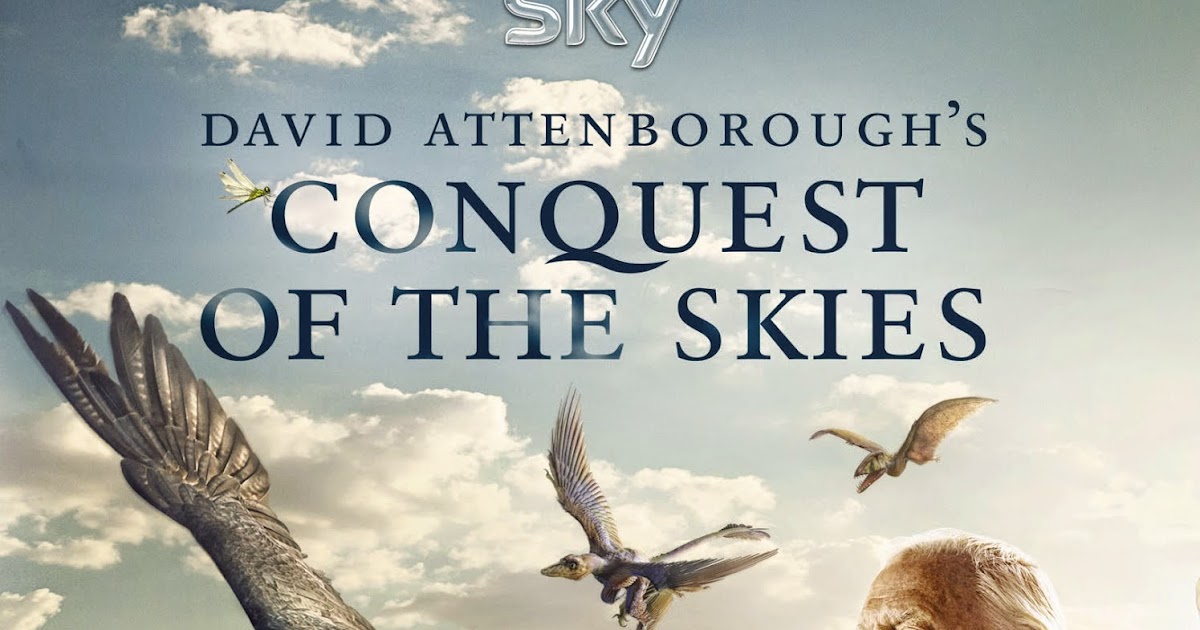 Natur Cymru Nature Of Wales Conquest Of The Skies David Attenborough
