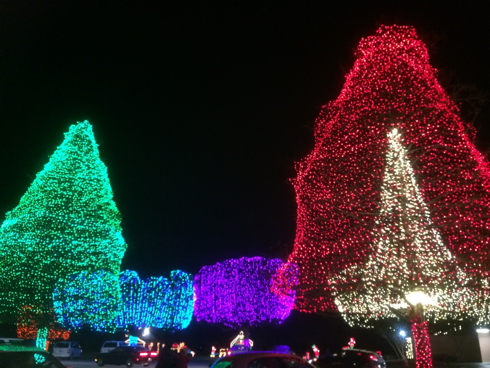 All Things Midlands {Around Town} Fantasy of Lights at Swan Lake Iris