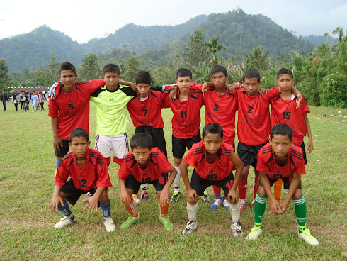 SEPAKBOLA