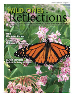 Wild Ones Reflections Issue #1