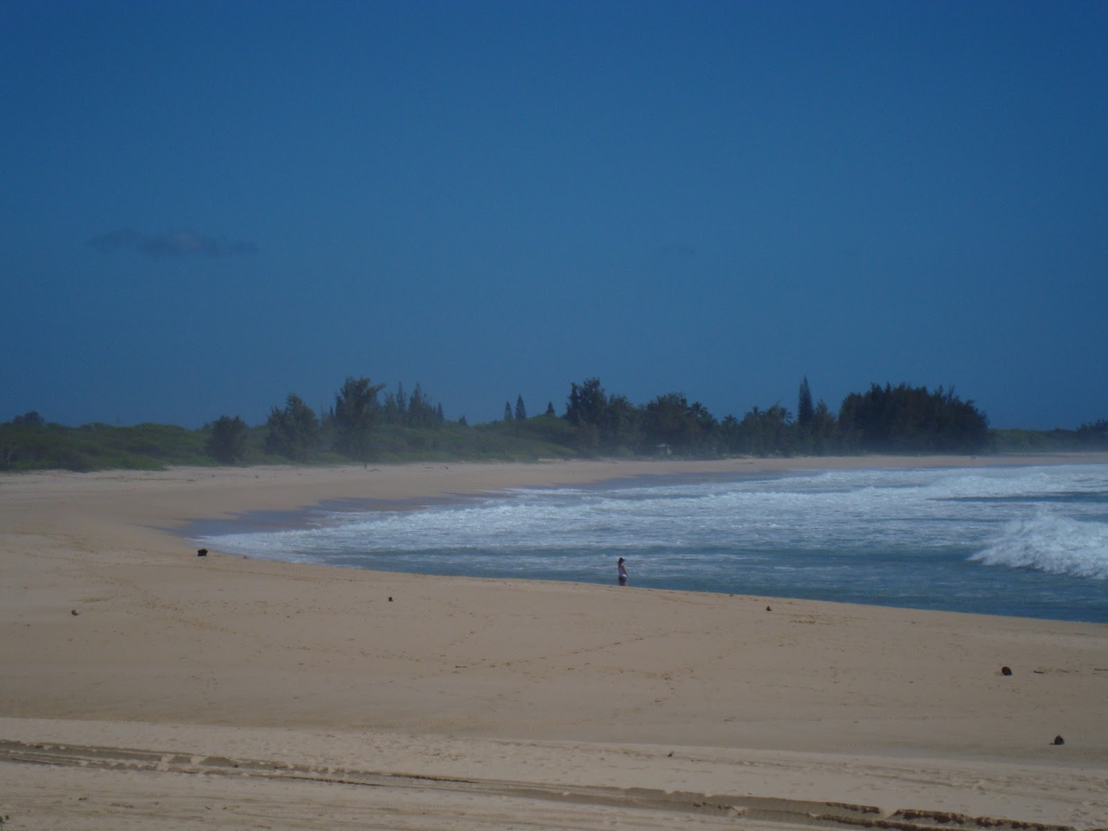 Aloha On My Mind Aloha to Kauai Waimea Canyon and Barking Sands