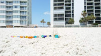 Dragonfly I made ... placed in sand where Tommy died at Myrtle Beach, SC