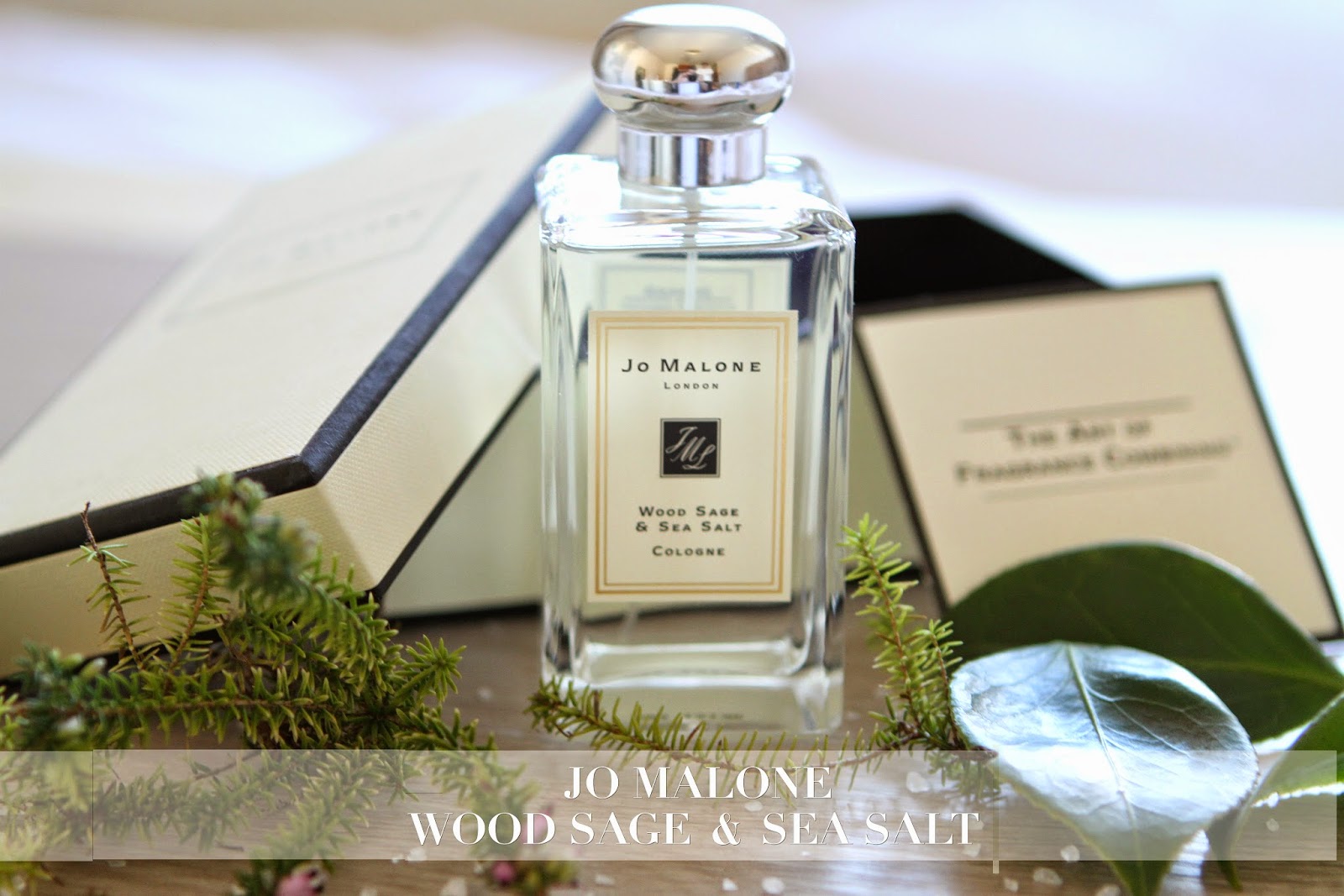 JO MALONE WOOD SAGE AND SEA SALT the Elle next door