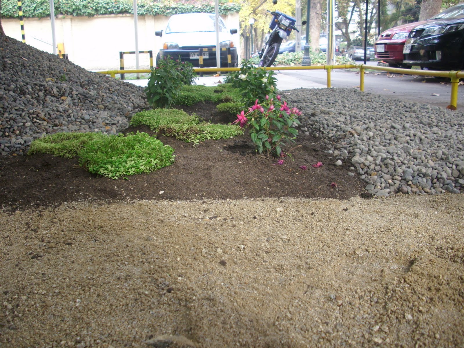 DISEÑO JOVEN : Paisajismo: Diseño de Jardin