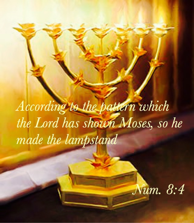 The Seven Lamps {Num. 811036} Women in the Word
