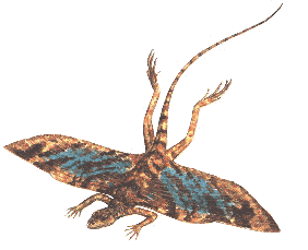 reptiles voladores prehistoricos Kuehneosaurus