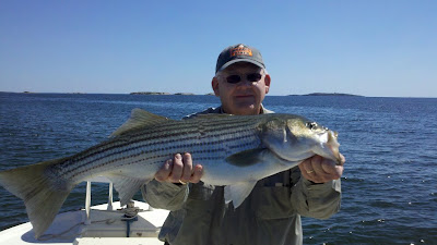 Great striper boothbay harbor image here, very nice angles