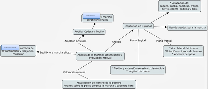 oscilacion termina facilitaci 243 n neuromuscular propioceptiva oscilacion termina facilitaci 243 n neuromuscular propioceptiva