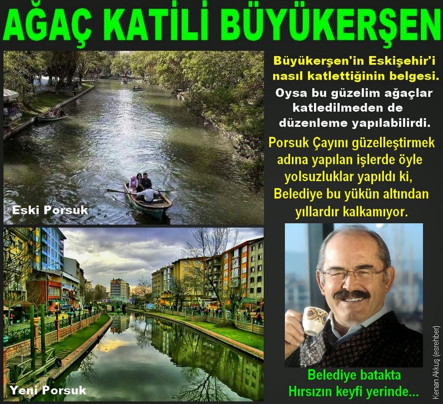 AĞAÇ KATİLİ HAİN KÖPEK