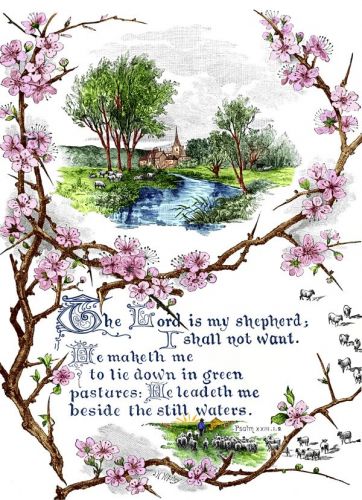 Scripture Quotes | Best Quotes for Your Life