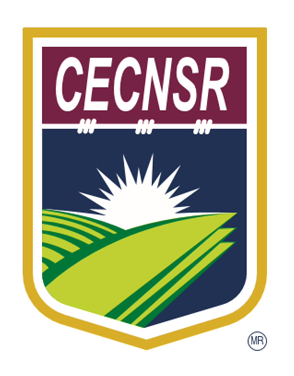 CECNSR