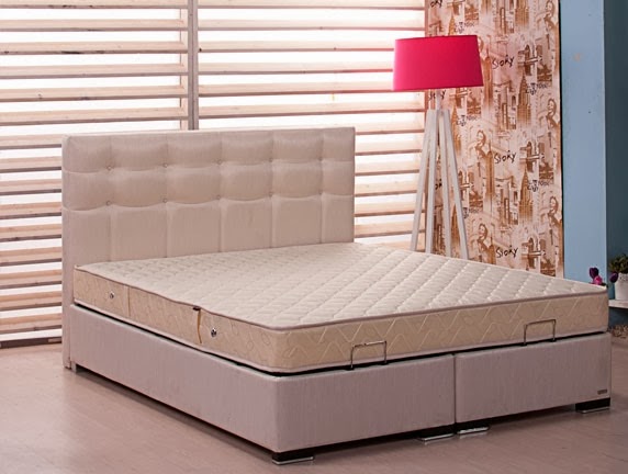 Alfemo Modelleri Alfemo Baza Modelleri