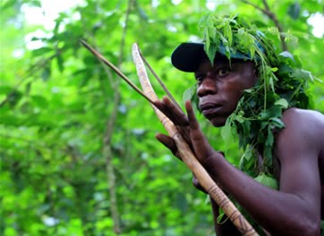 Protecting medicinal forests
