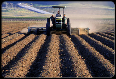 Pollution image info - San Joaquin Valley Farming town with Air Pollution picture
