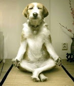 Meditação