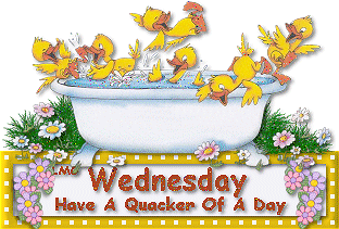 wednesday-750754483.gif