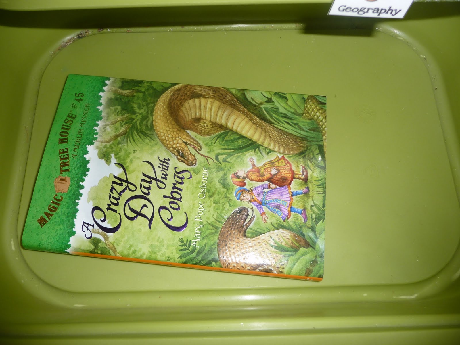 Chestnut Grove Academy: Work boxes Part 3 and Spelling Curriculum