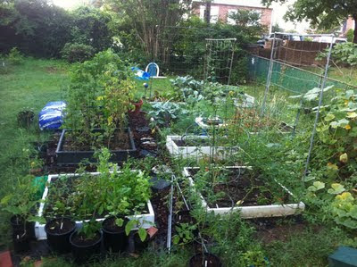 Backyard Farming: Your Backyard Farm