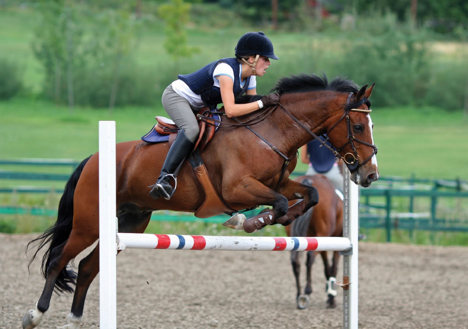 Horses for pleasure riding How I got my horse to jump the first time