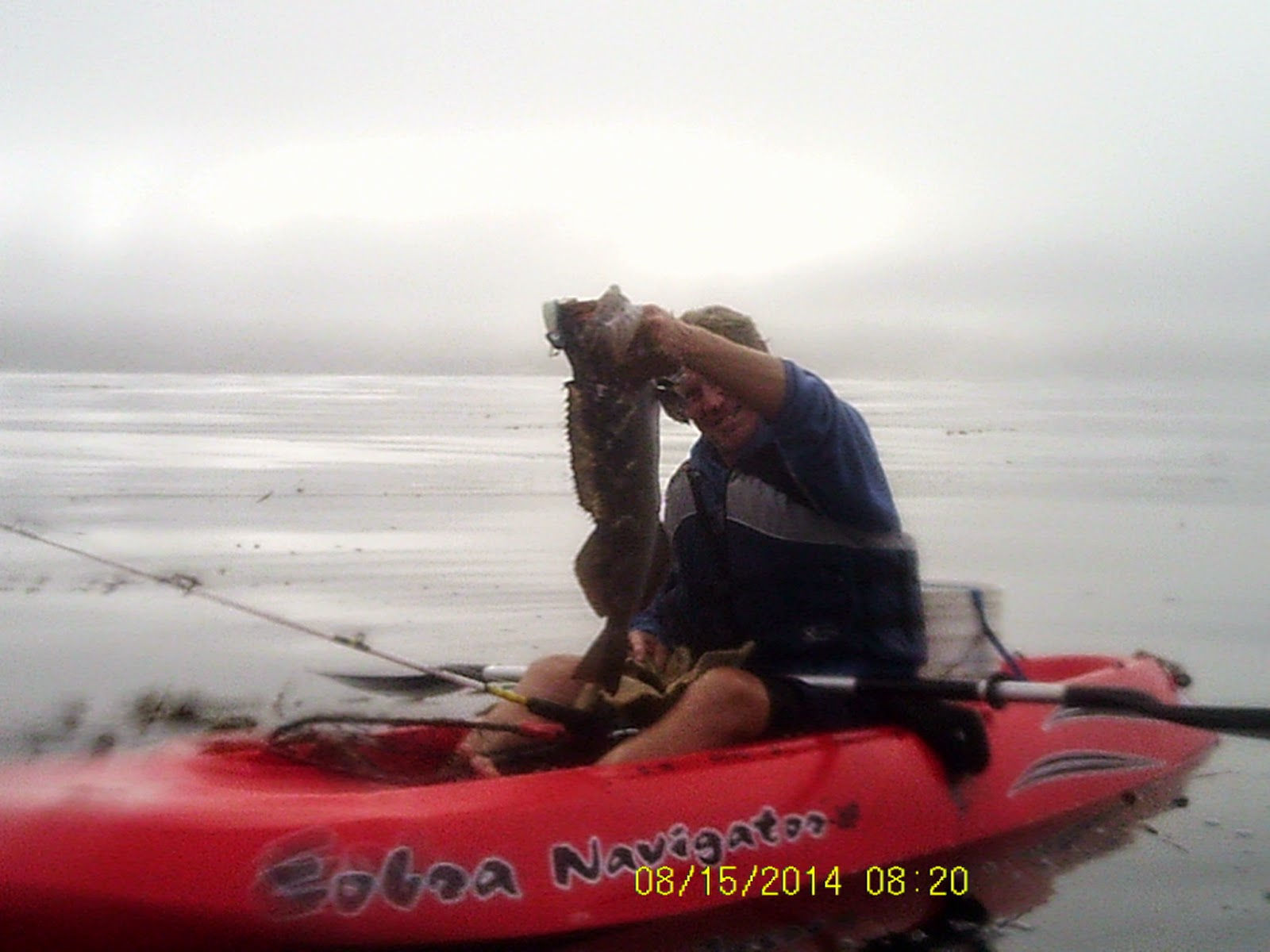 Estero Bay Kayak Fishing Constantine's Buoy 8/15/14