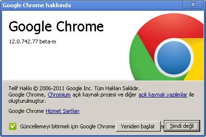 Google chrome 12.0.742.91