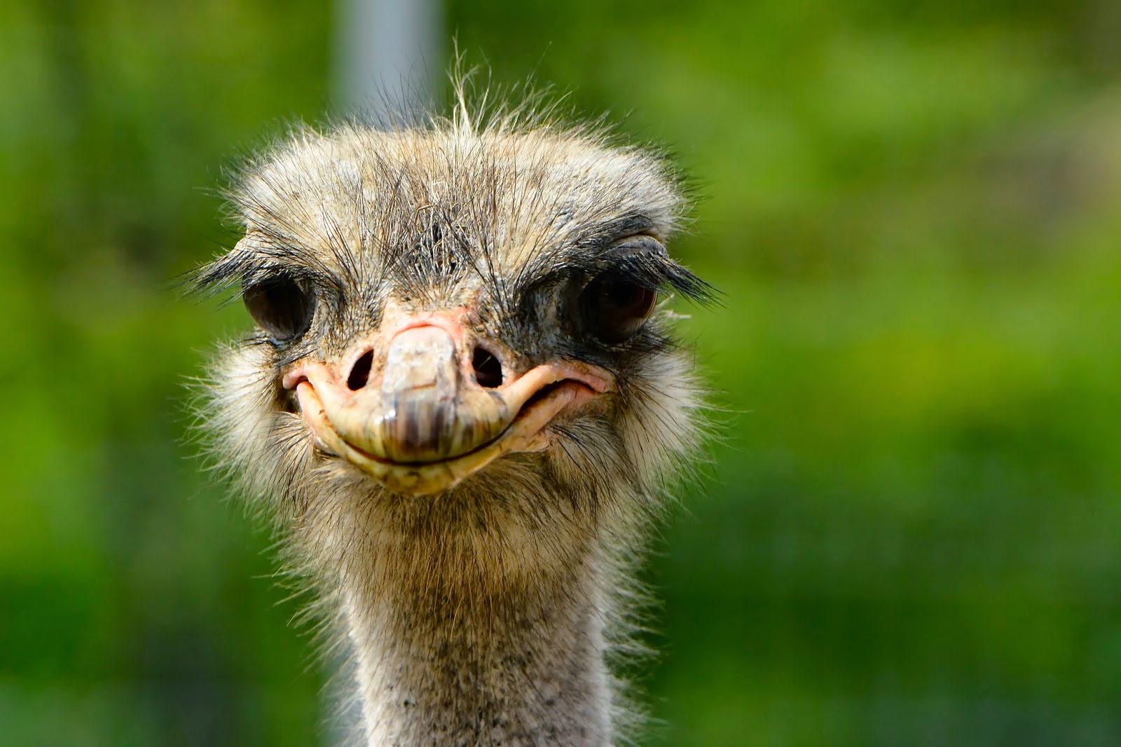 Passion And Art The Camera Can See What Our Eyes Can T Only