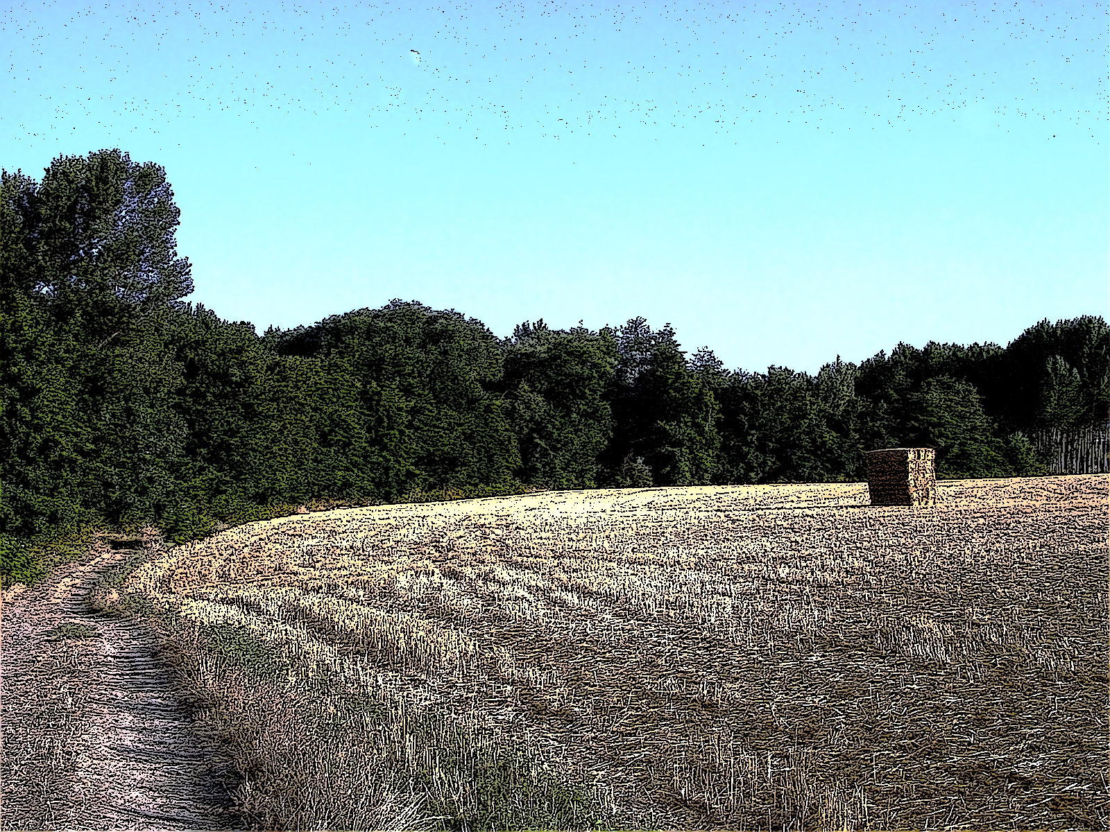 dating online chat rooms