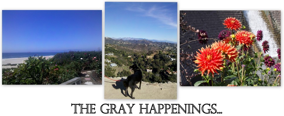 The Gray Happenings