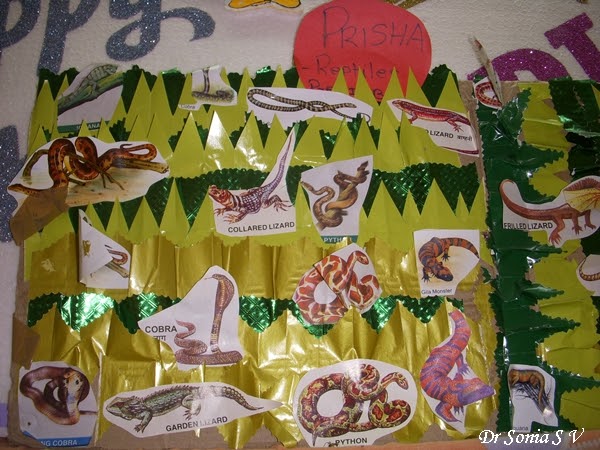 Cards ,Crafts ,Kids Projects: Reptiles Chart School Project