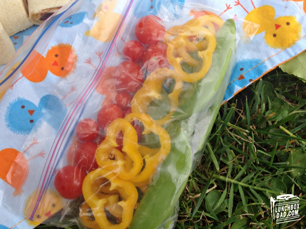 Lunchbox Dad A Field Trip Disposable Lunch