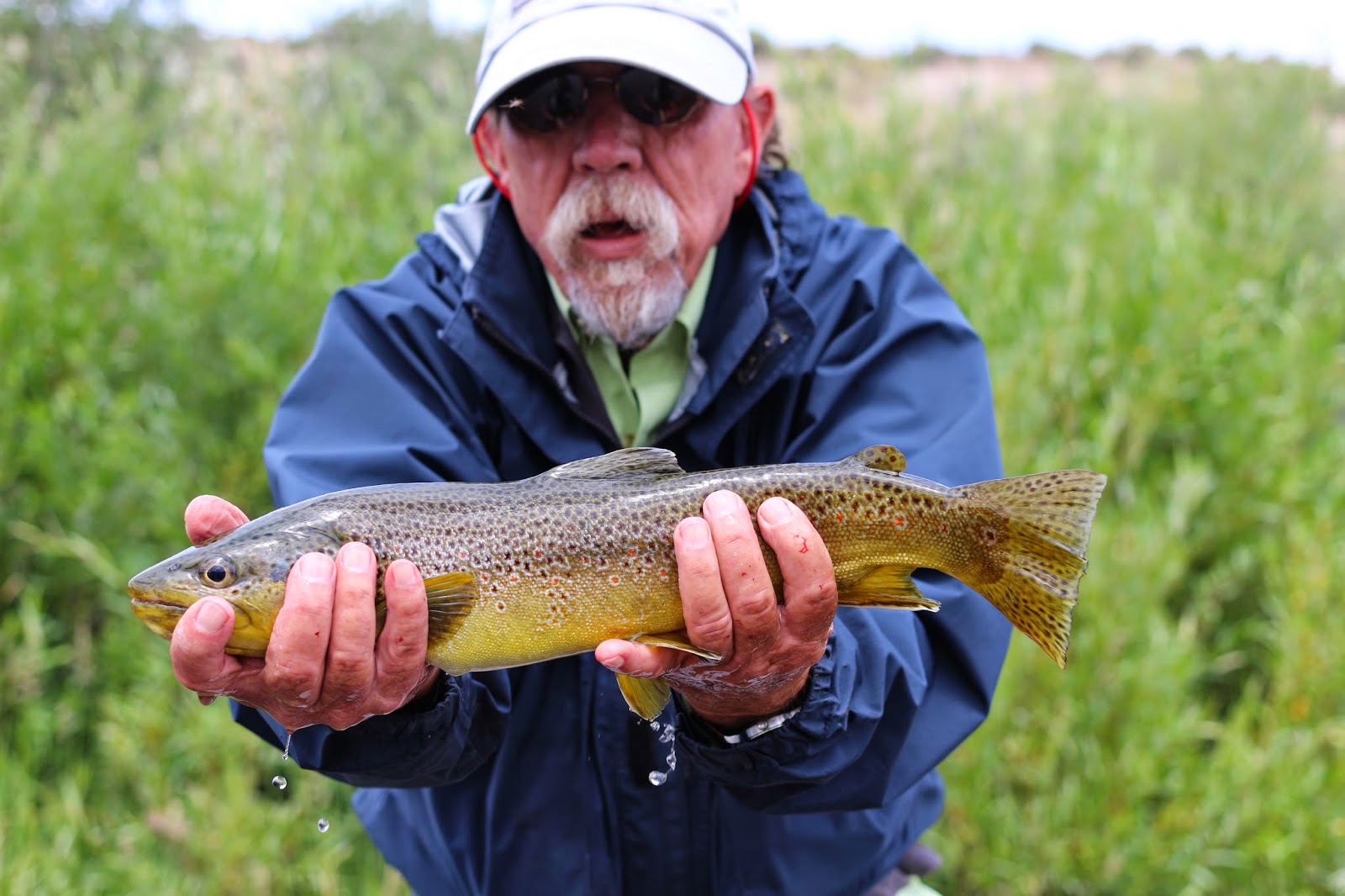 Brown+Trout+Flyfishing+Upper+Green+River+near+Jackson+Hole+Wyoming+with+Jay+Scott+Outdoors+13.JPG