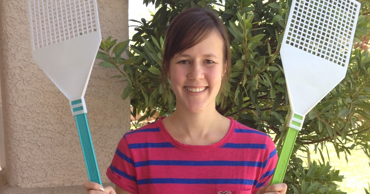 A Love for Teaching The Fly Swatter Game!