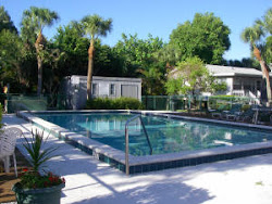 The pool  - only steps from the cottage!